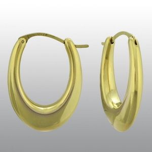 10K Resin thick oval hoop earrings